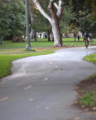 Panhandle Park, below my Garret Apartment